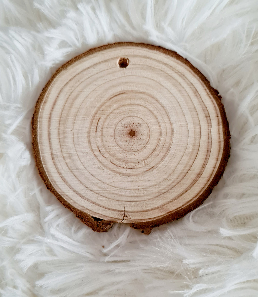 Wood/log Slice