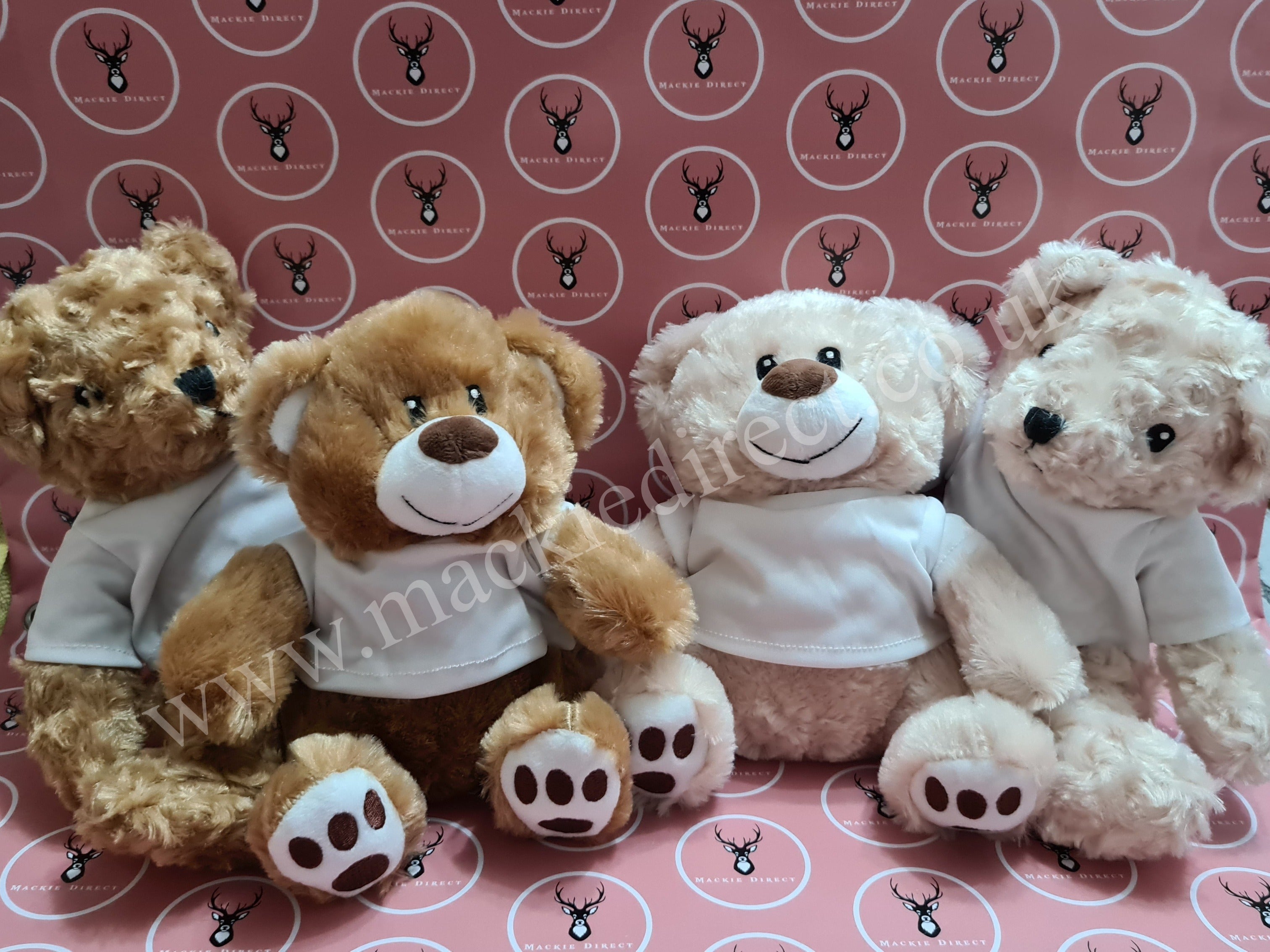 20cm Teddy Bear with Sublimation T Shirt – Mackie Direct