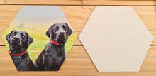 Load image into Gallery viewer, SFB Hexagon Photo Panels/Tiles
