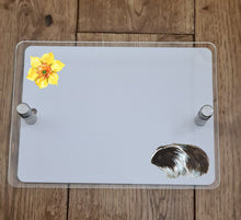 Load image into Gallery viewer, UV Printed House Wall Signs - Guinea Pig
