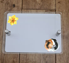 Load image into Gallery viewer, UV Printed House Wall Signs - Guinea Pig
